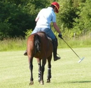 Anjou Polo Club à Noyant-la-Gravoyère, Maine-et-Loire (49)