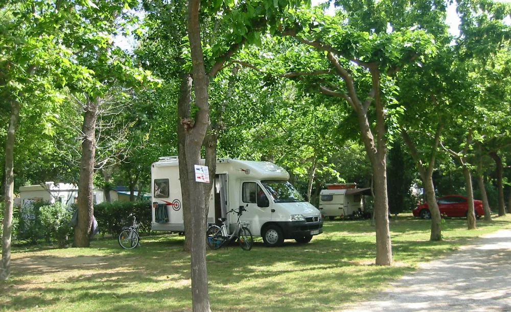 Camping Catalan à Argelès-sur-Mer, Pyrénées-Orientales (66)