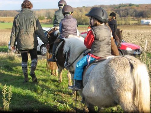 Centre équestre Les Ecuries Carrah à Leigné-les-Bois, Vienne (86)