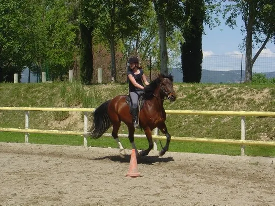 Centre Equestre de Pont Royal Mallemort à Mallemort, Bouches-du-Rhône (13)