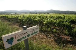 Chateau de Landue à Solliès-Pont, Var (83)