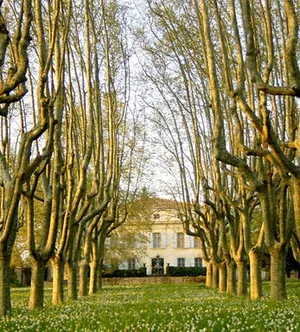 CHÂTEAU DE BEAUPRÉ à Saint-Cannat, Bouches-du-Rhône (13)