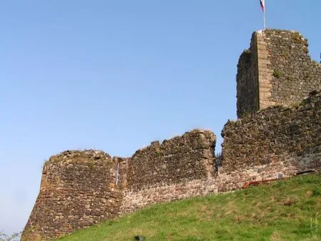 Château de Calmont d'Olt à Espalion, Aveyron (12)
