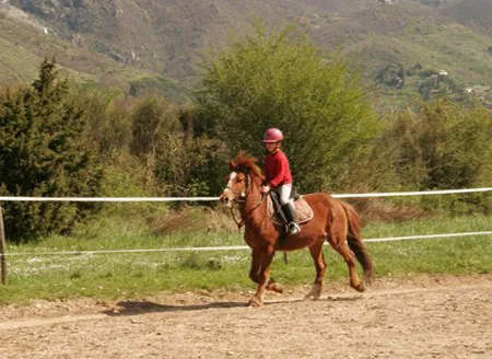 Cheval Vert à Arrigas, Gard (30)