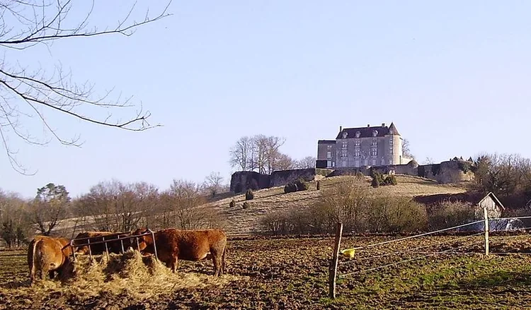 Château de Montréal à Mussidan, Dordogne (24)