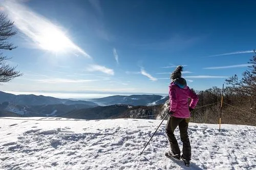 Domaine Alpin du Rouge Gazon - Station Fermée pour la Saison 2023-2024 à Saint-Maurice-sur-Moselle, Vosges (88)
