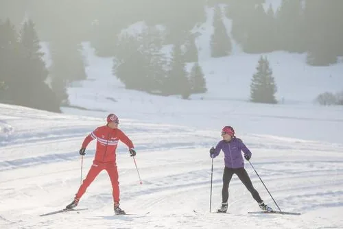 Ecole du Ski Francais : Ski Nordique à Gérardmer, Vosges (88)