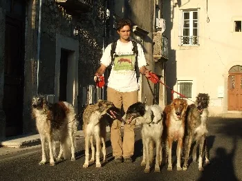 Élevage du Joyau des Bois à Boucoiran-et-Nozières, Gard (30)