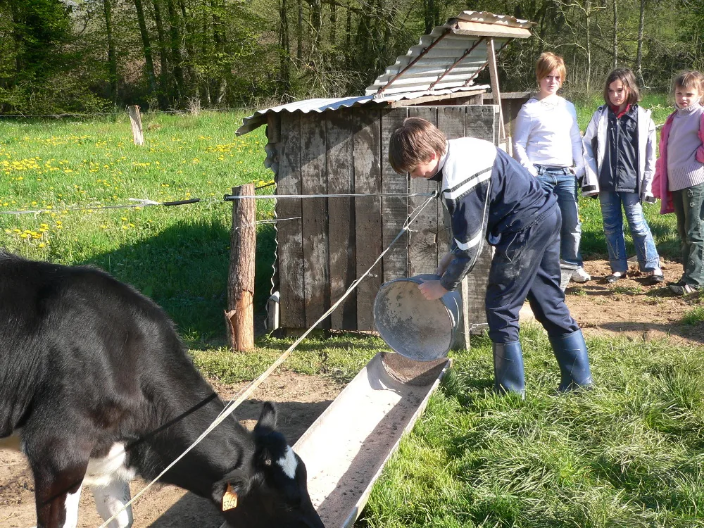 Ferme les Pâtures à Orvaux, Eure (27)