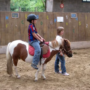 Fénicat équitation à Bruz, Ille-et-Vilaine (35)