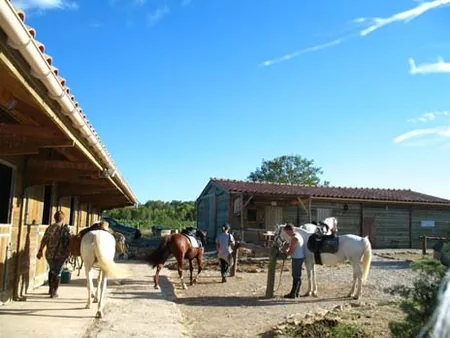 Ferme Équestre Les Farfadets à Vacquières, Hérault (34)