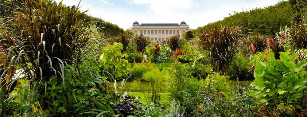 Ménagerie, le Zoo du Jardin des Plantes