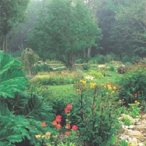 Jardins de Rospico à Névez, Finistère (29)