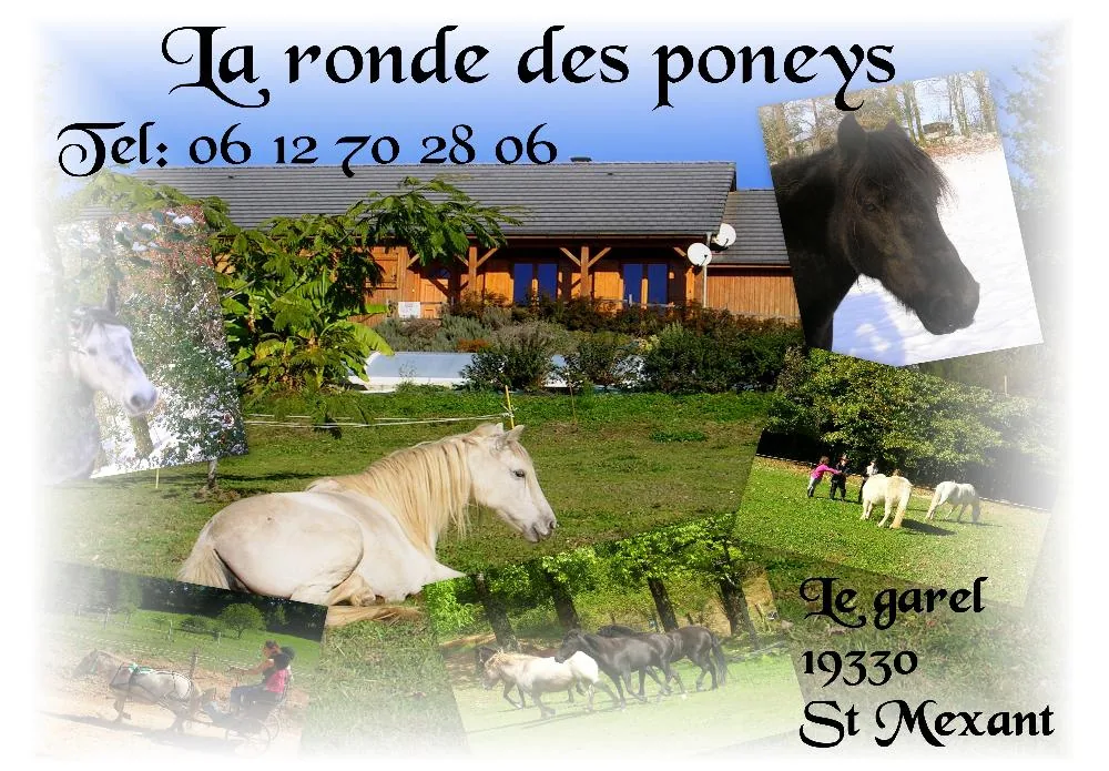 La Ronde des Poneys à Saint-Mexant, Corrèze (19)