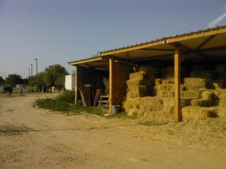 Les Chevauchées de Pégase à Villeneuve-de-la-Raho, Pyrénées-Orientales (66)