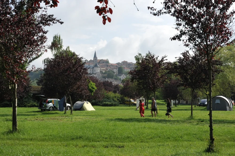 Location de Velos Au Camping les Boucles de la Moselle à Liverdun, Meurthe et Moselle (54)