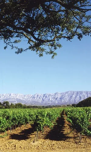 Mas de Cadenet à Trets, Bouches-du-Rhône (13)