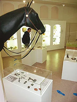 Musée d'archéologie de Champagnole à Champagnole, Jura (39)