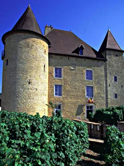 Musée de la Vigne et du Vin du Jura à Arbois, Jura (39)