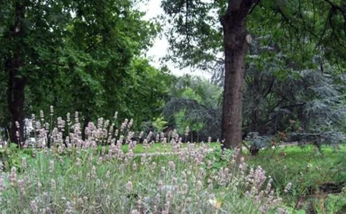 Parc départemental du Rancy à Bonneuil-sur-Marne, Val-de-Marne (94)