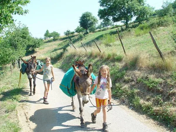 Randonnée avec un âne à Vallon-Pont-d'Arc, Ardèche (07)