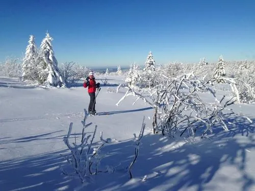 Sens a Sons Nature - Cours de Ski Nordique à Gérardmer, Vosges (88)