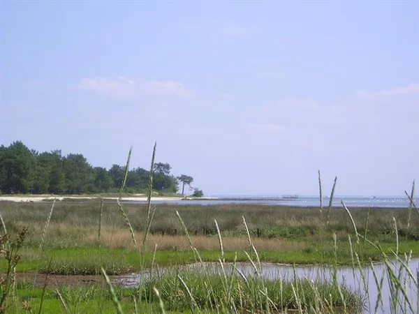 Sites des Quinconces Saint-Brice à Andernos-les-Bains, Gironde (33)