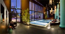 Spa Taaj - Ayurveda à Évian-les-Bains, Haute-Savoie (74)