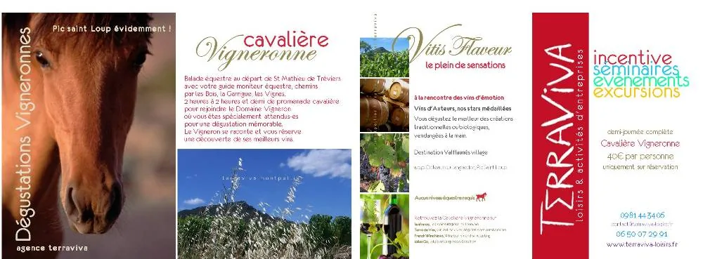 Terraviva Loisirs à La Grande-Motte, Hérault (34)