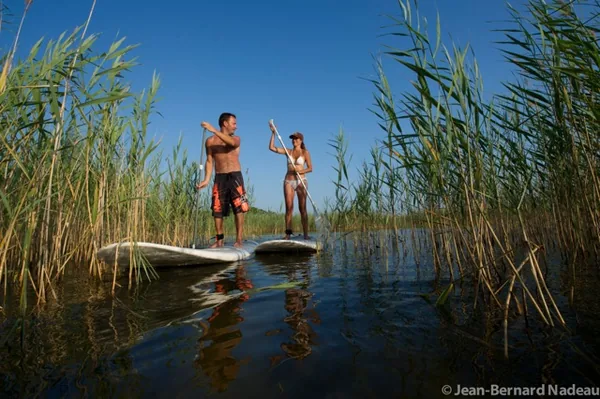 stand up paddle lac de cazaux sanguinet