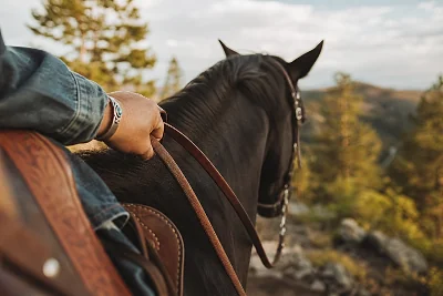 Randonnée à Cheval dans le  Var