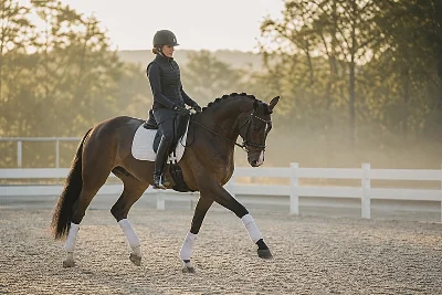 Sport Equestre en France