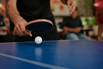 Tennis de Table en France